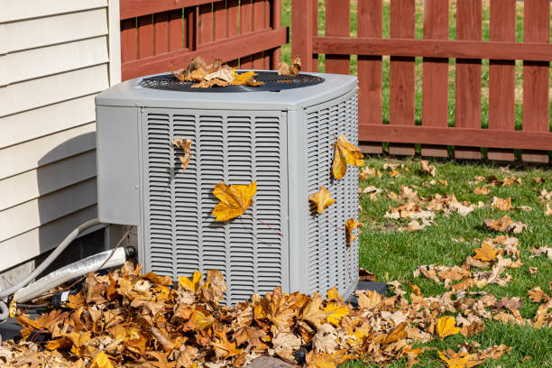 Best HVAC service technicians  in Wortham, TX